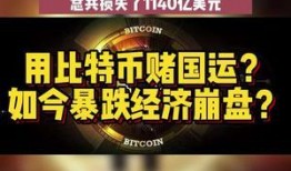 最新比特币爆料,揭秘最新爆料背后的市场风云