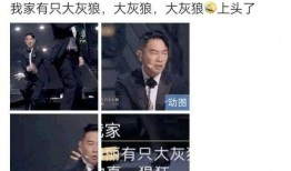 港星综艺爆料最新视频在线观看,精彩瞬间不容错过！