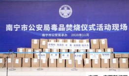 南宁新闻在线最新爆料网,重大事件背后真相揭晓