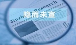 影子公司最新版本爆料,揭秘神秘幕后势力与颠覆性变革